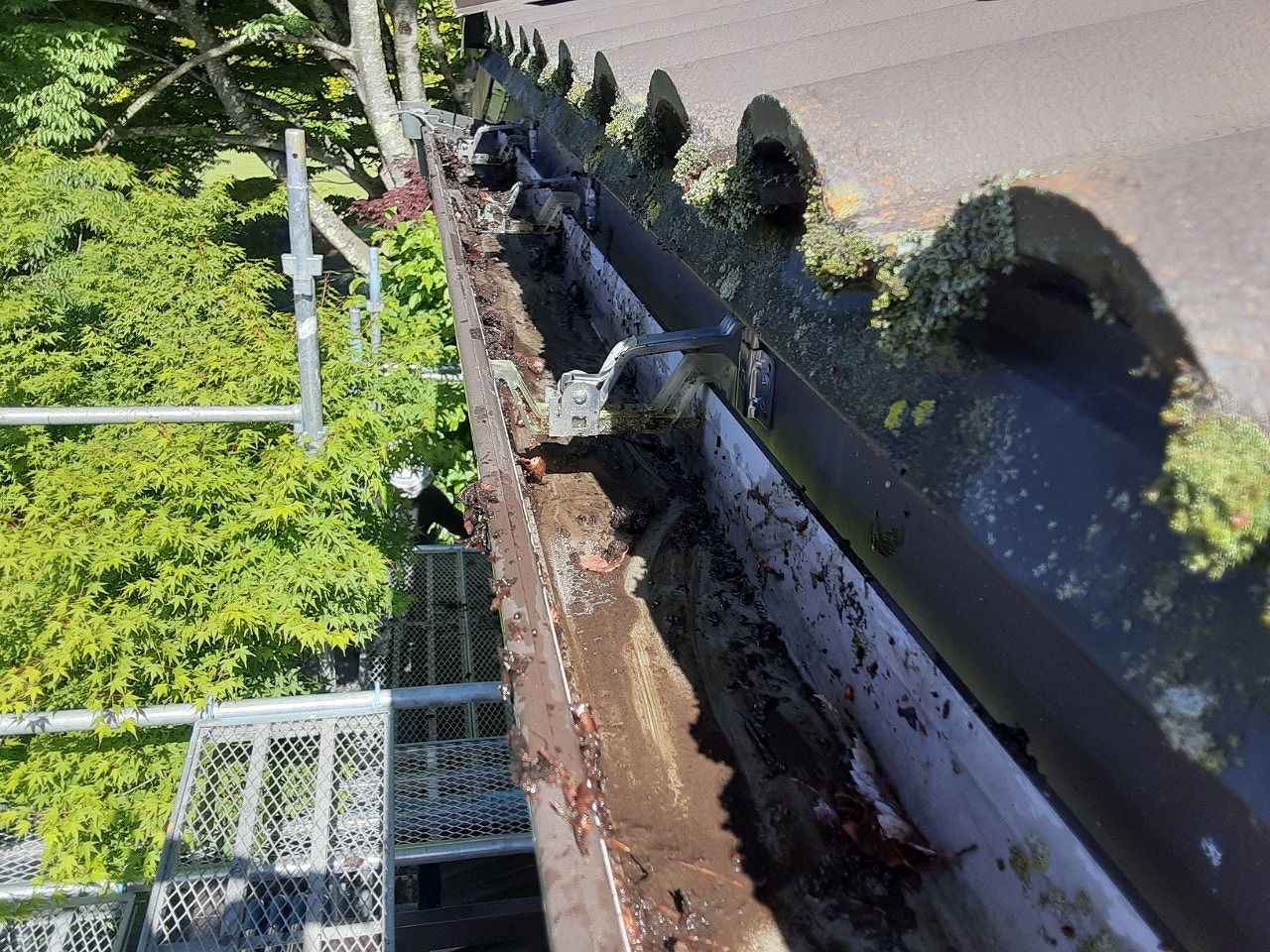 富士河口湖町雨樋清掃